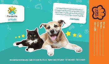 Postal de bienestar animal, un sueño de Fundación Créalo